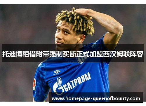 托迪博租借附带强制买断正式加盟西汉姆联阵容